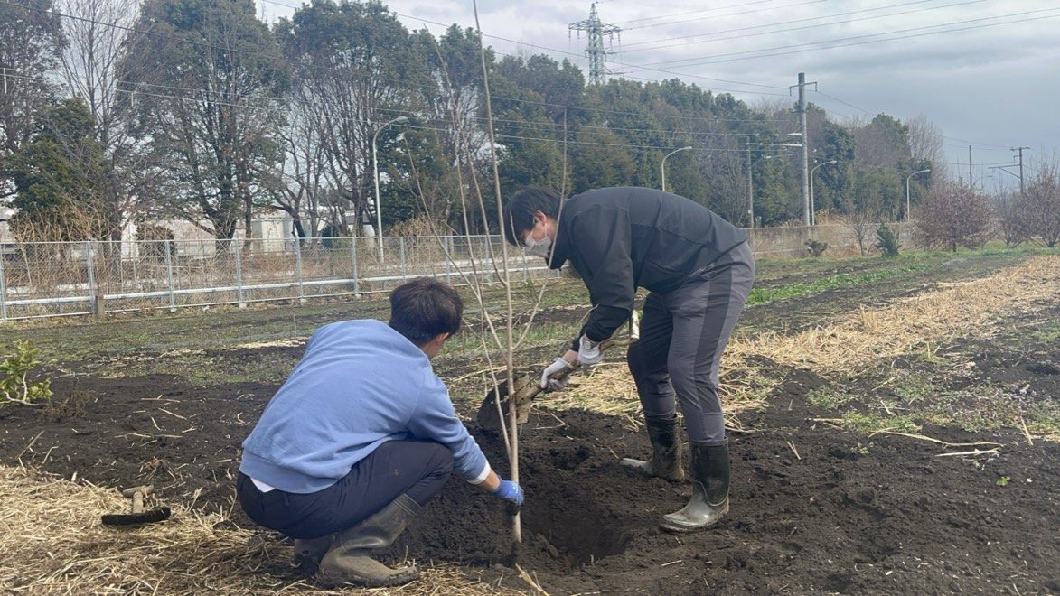 農業ボランティア